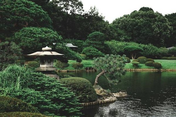Comment Créer un Jardin Japonais : Guide Complet