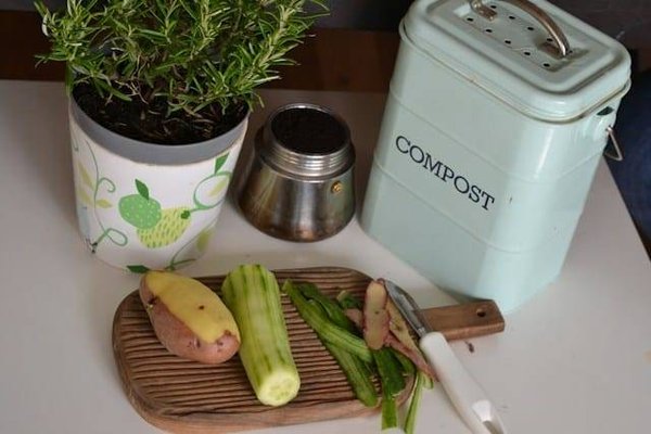Quels sont les Bienfaits du Compostage ? Un Trésor Caché au Coeur de Votre Jardin