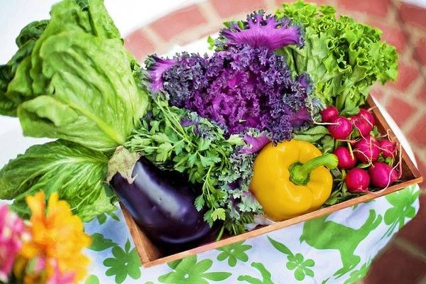 Quand semer les légumes d'été : guide complet pour une récolte soleil-doré