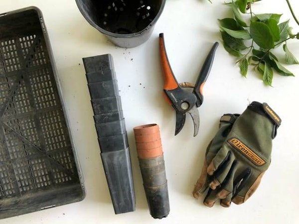 Quels outils pour le jardinage écologique ? Guide complet pour le jardinier écoresponsable