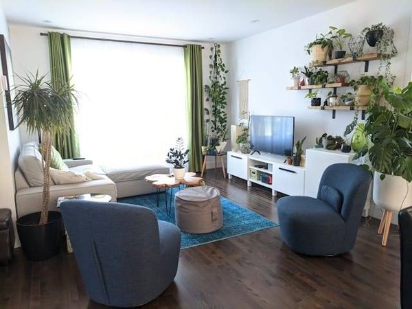 Purifier l'Air Intérieur : La Puissance Méconnue des Plantes