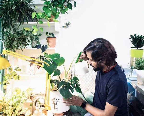 Comment arroser vos plantes d'intérieur comme un pro ? Guide ultime