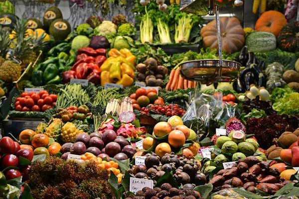 Création Potager Bio: Un Guide Complet Pour Cultiver Votre Alimentation